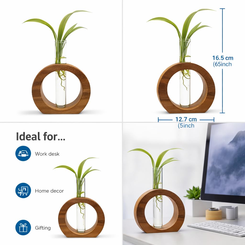 Wooden 1 Glass Test Tube Home Decor Planter Modern Flower Vase with Wood Stand Plant Propagation